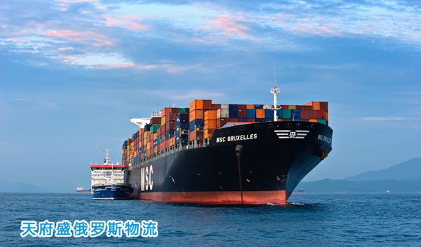 討論俄羅斯物流領(lǐng)域里有幾種模式，其模式有什么特點？